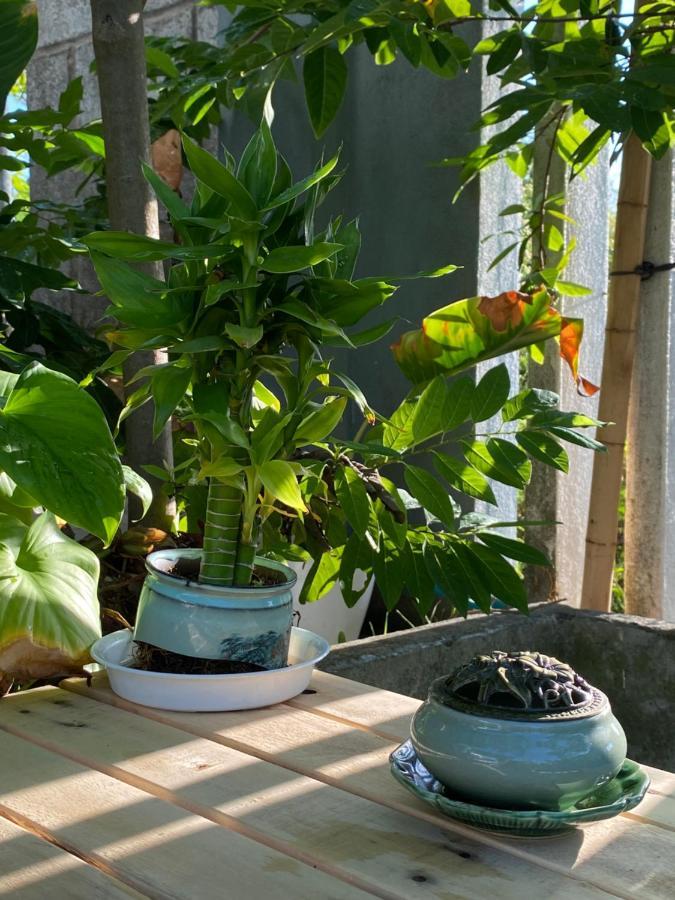 Laoxao Homestay Hoi An Zewnętrze zdjęcie