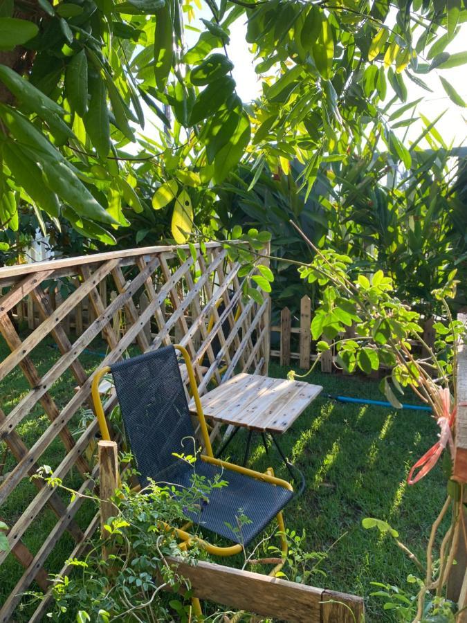 Laoxao Homestay Hoi An Zewnętrze zdjęcie