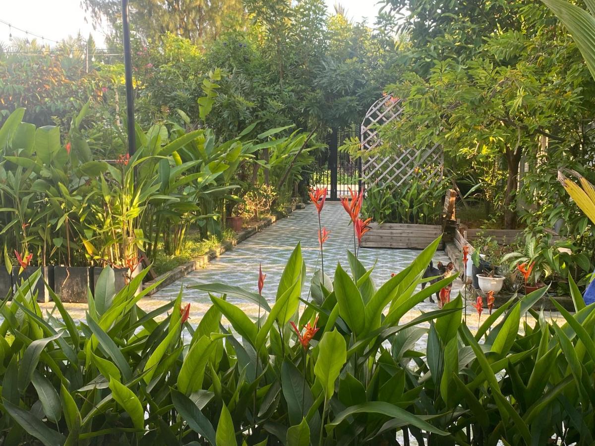 Laoxao Homestay Hoi An Zewnętrze zdjęcie
