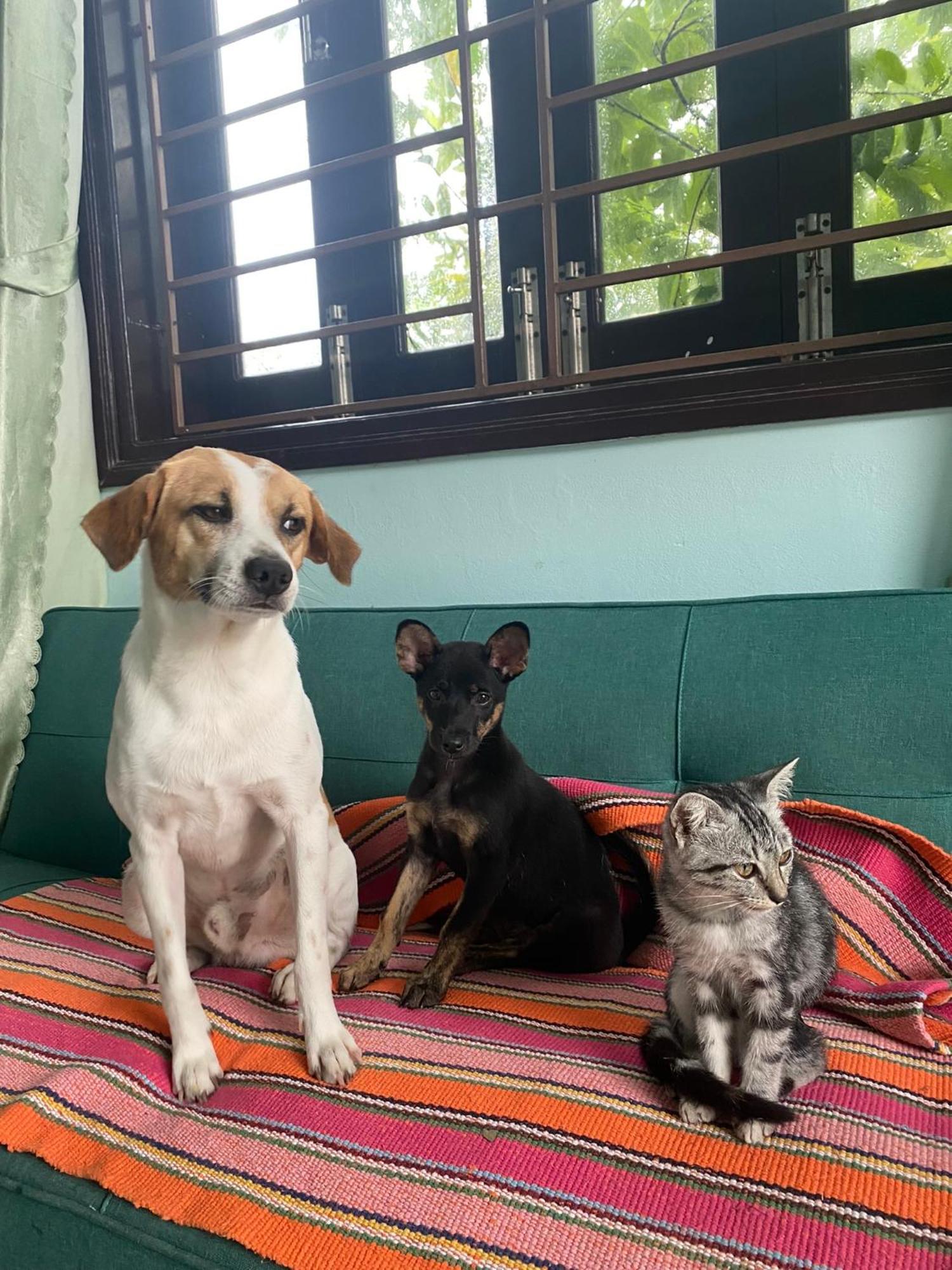 Laoxao Homestay Hoi An Zewnętrze zdjęcie