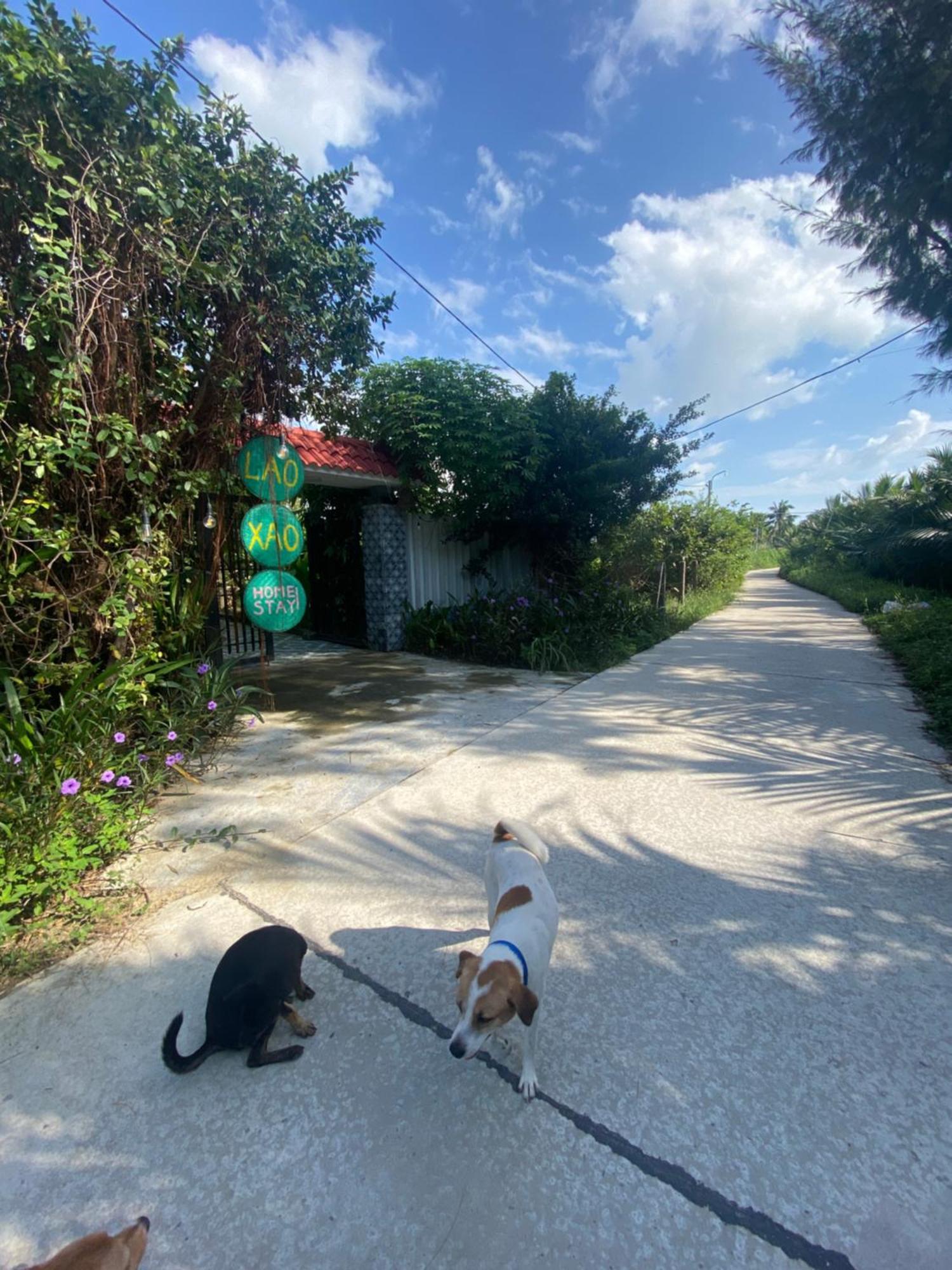 Laoxao Homestay Hoi An Zewnętrze zdjęcie